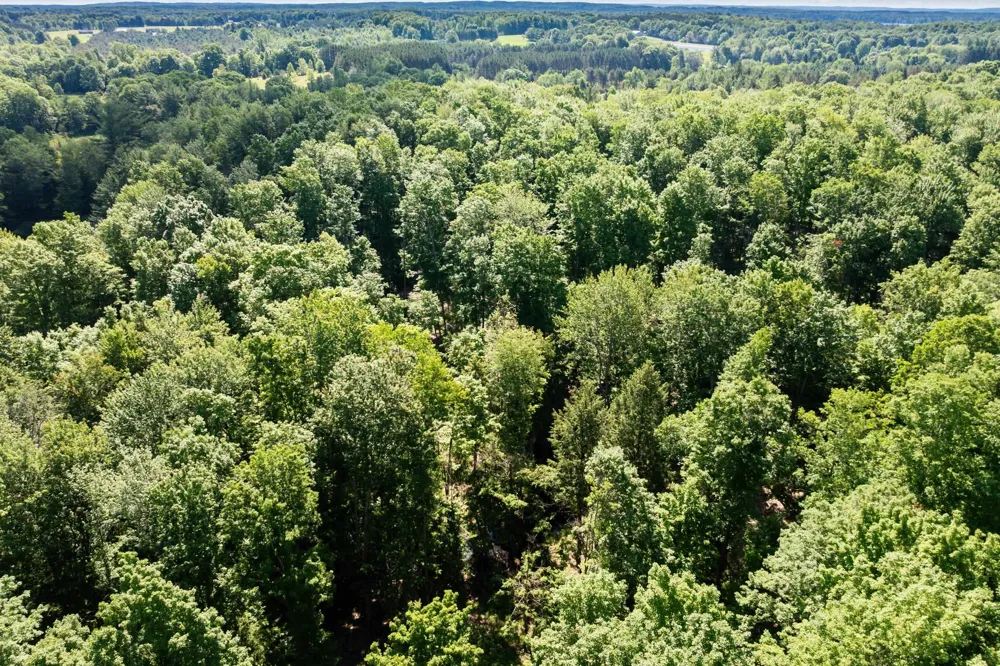 Lake Fife Lake Township, MI 49633