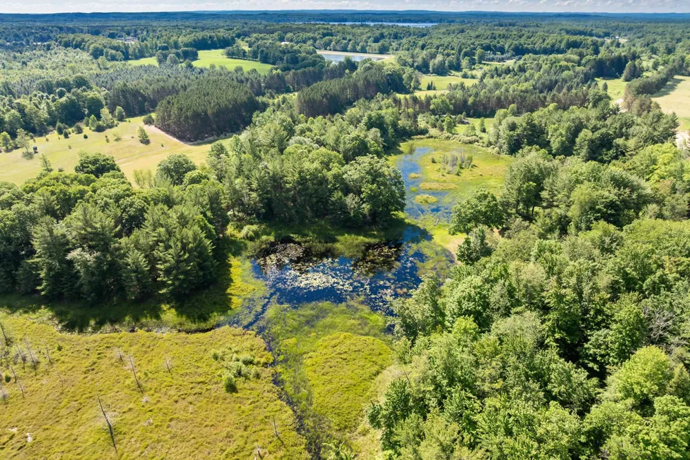 Lake Fife Lake Township, MI 49633