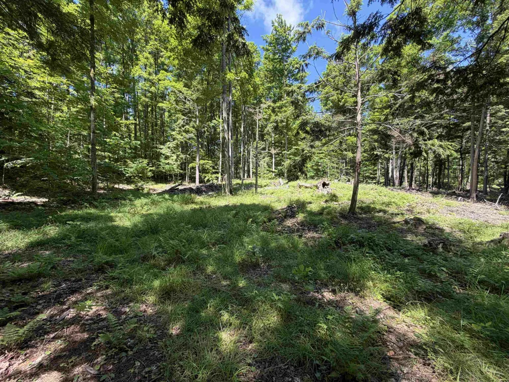 Lake Fife Lake Township, MI 49633
