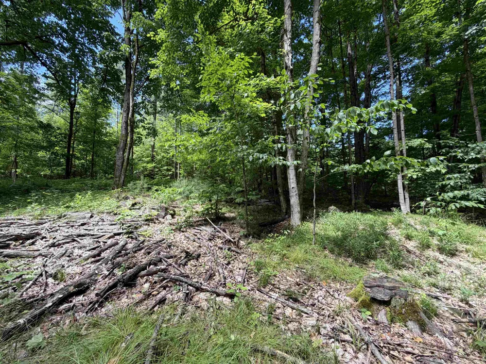 Lake Fife Lake Township, MI 49633