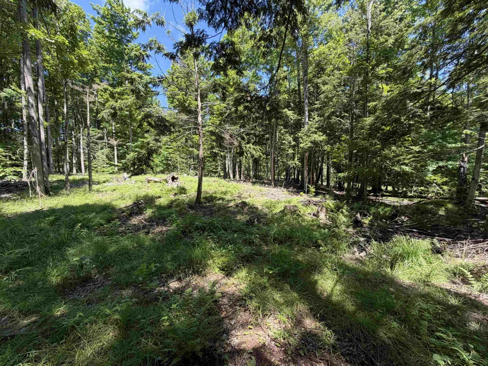 Lake Fife Lake Township, MI 49633