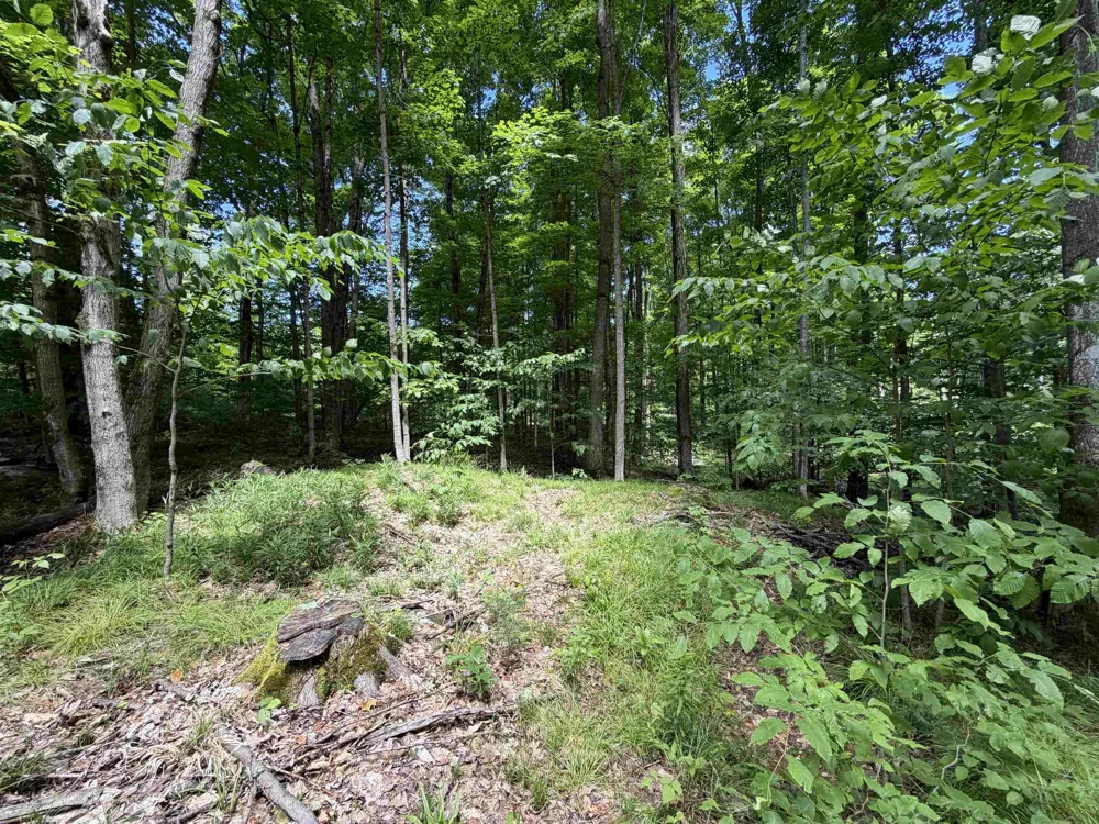 Lake Fife Lake Township, MI 49633
