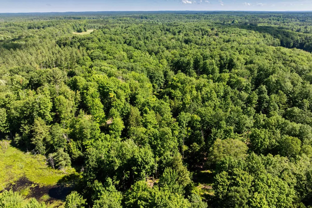 Lake Fife Lake Township, MI 49633