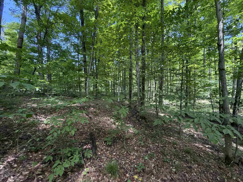 Lake Fife Lake Township, MI 49633