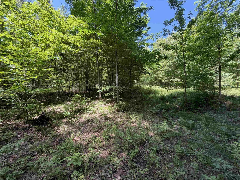 Lake Fife Lake Township, MI 49633