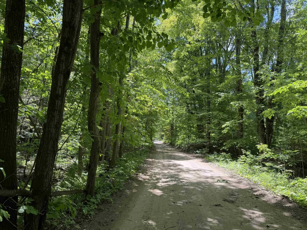 Lake Fife Lake Township, MI 49633