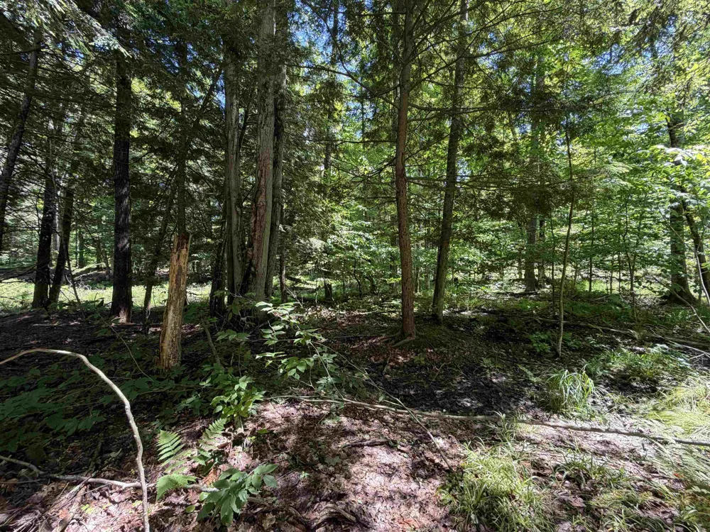 Lake Fife Lake Township, MI 49633