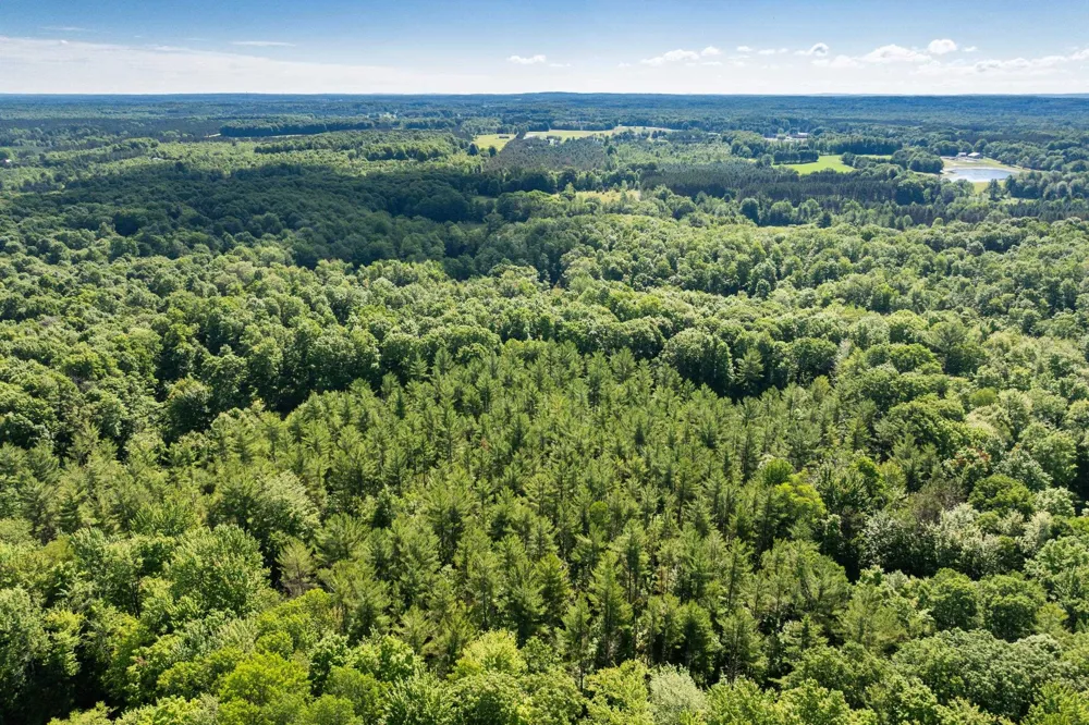 Lake Fife Lake Township, MI 49633