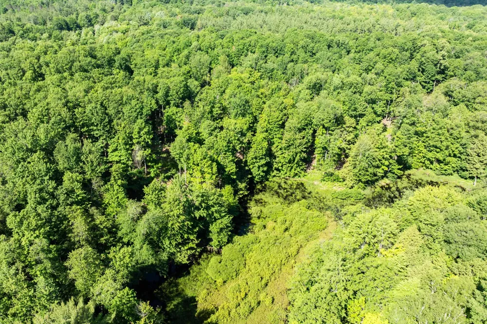 Lake Fife Lake Township, MI 49633