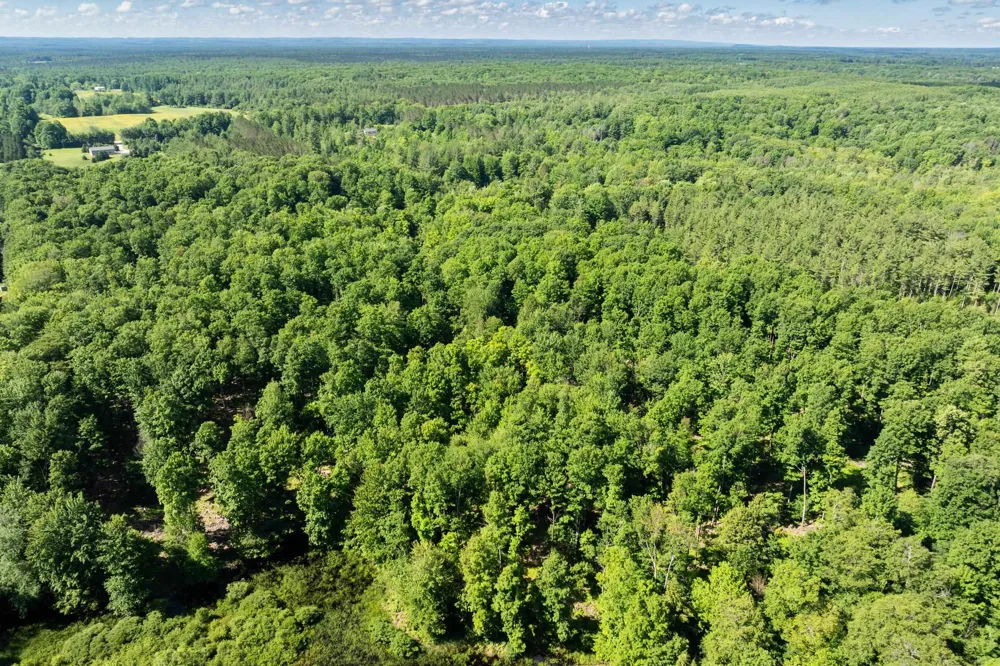 Lake Fife Lake Township, MI 49633