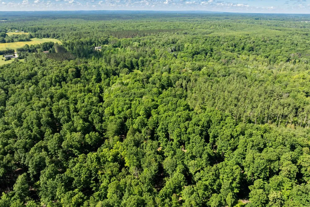 Lake Fife Lake Township, MI 49633