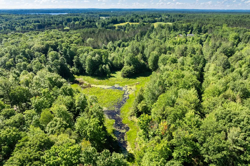Lake Fife Lake Township, MI 49633