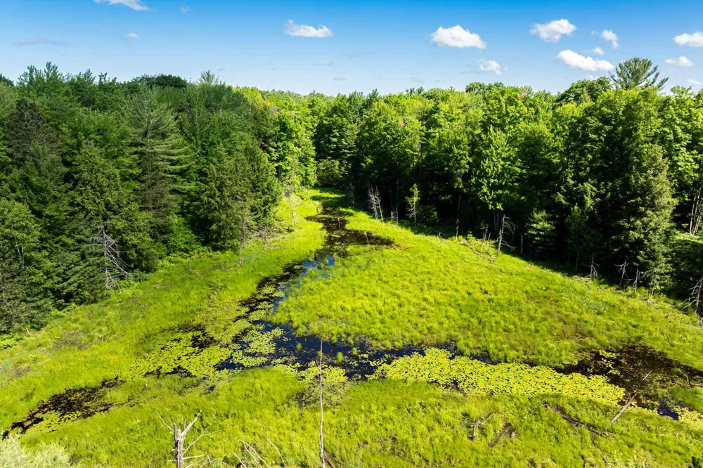Lake Fife Lake Township, MI 49633