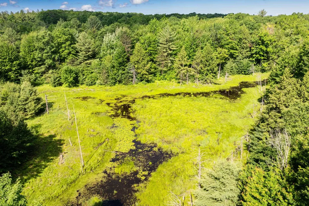 Lake Fife Lake Township, MI 49633
