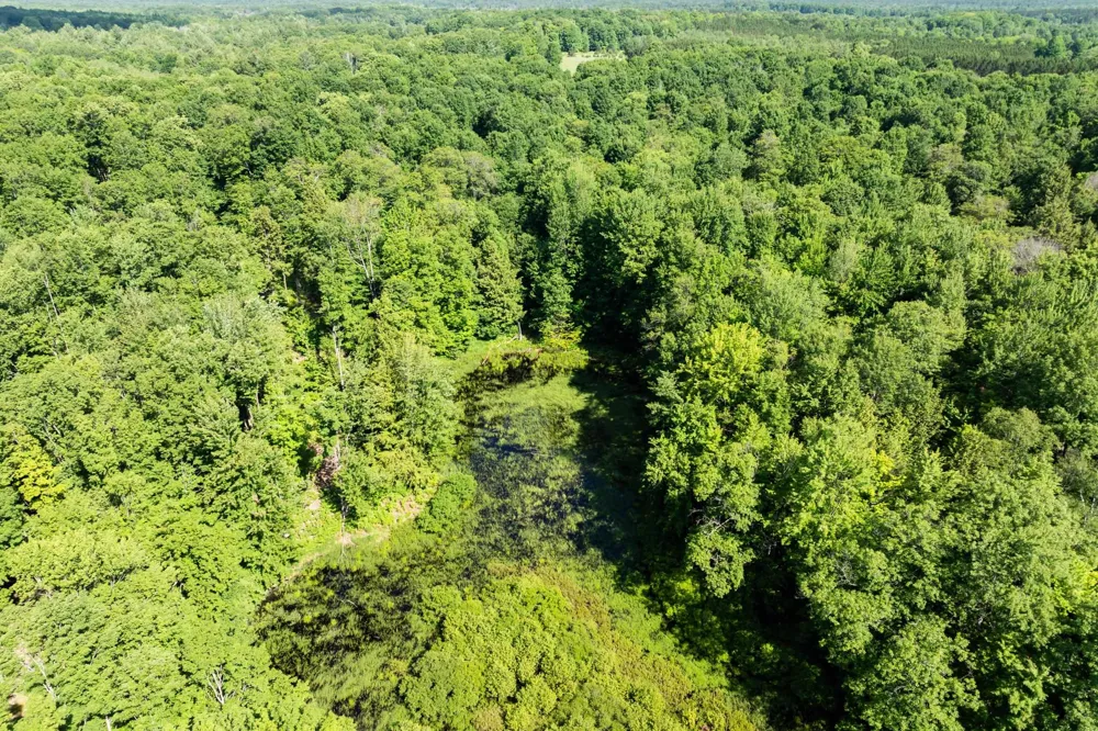 Lake Fife Lake Township, MI 49633