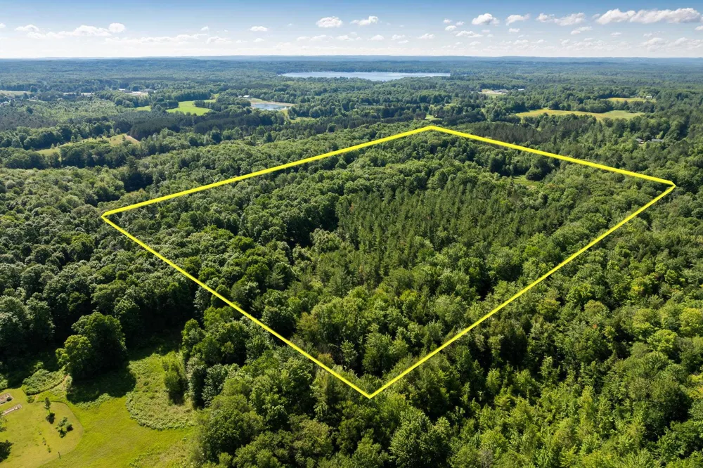Lake Fife Lake Township, MI 49633