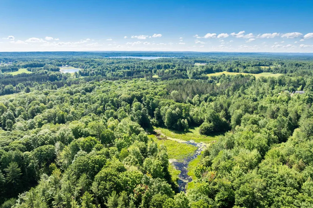 Lake Fife Lake Township, MI 49633