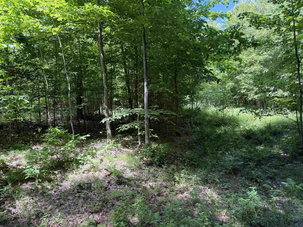Lake Fife Lake Township, MI 49633