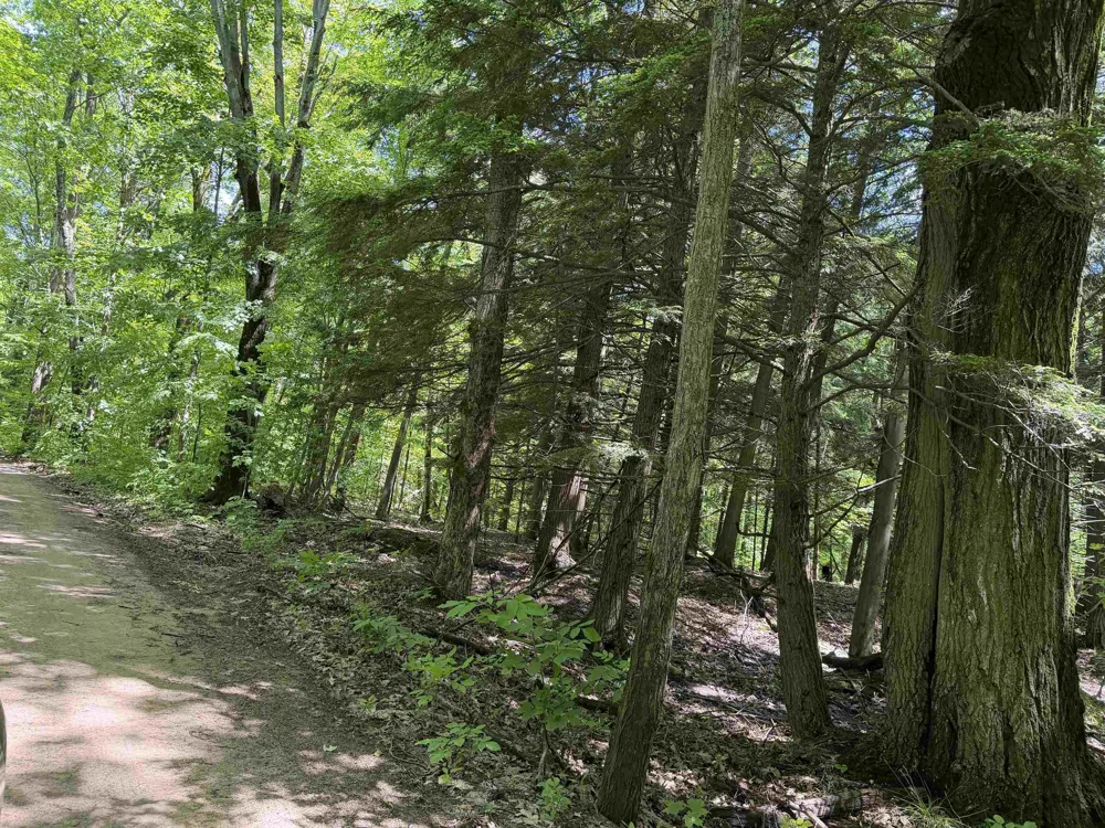 Lake Fife Lake Township, MI 49633