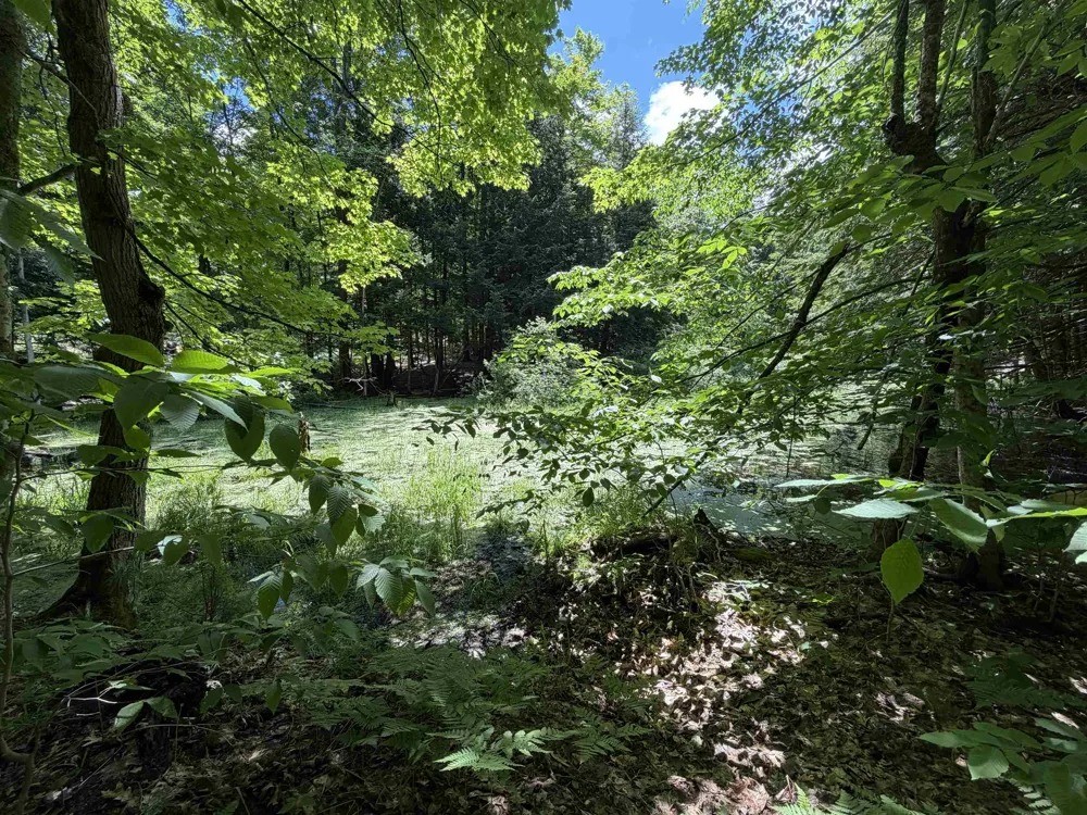 Lake Fife Lake Township, MI 49633