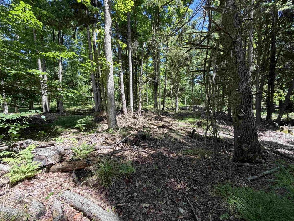 Lake Fife Lake Township, MI 49633