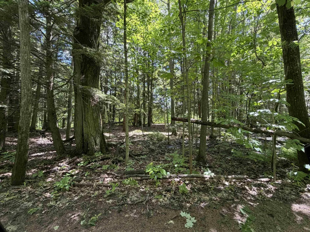 Lake Fife Lake Township, MI 49633