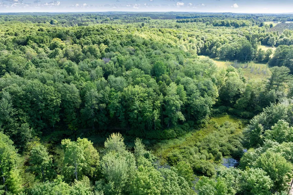 Lake Fife Lake Township, MI 49633