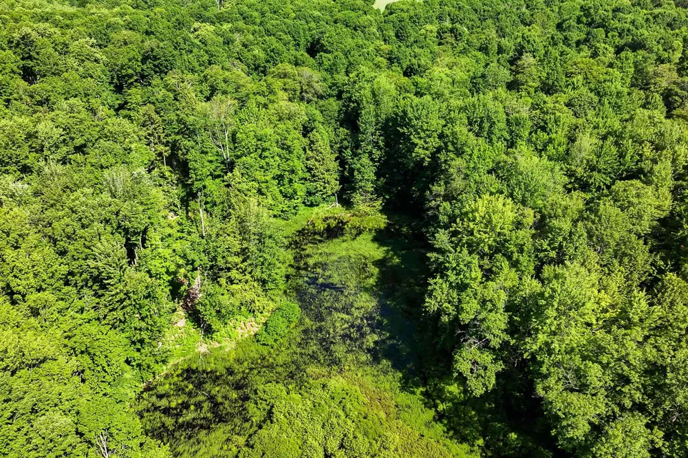 Lake Fife Lake Township, MI 49633
