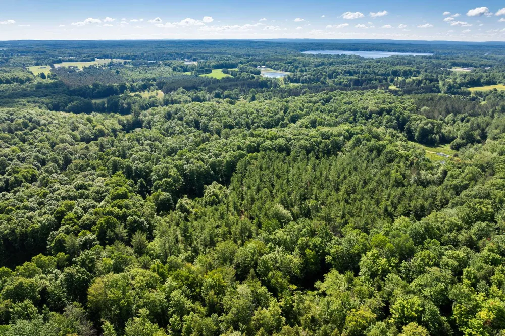 Lake Fife Lake Township, MI 49633