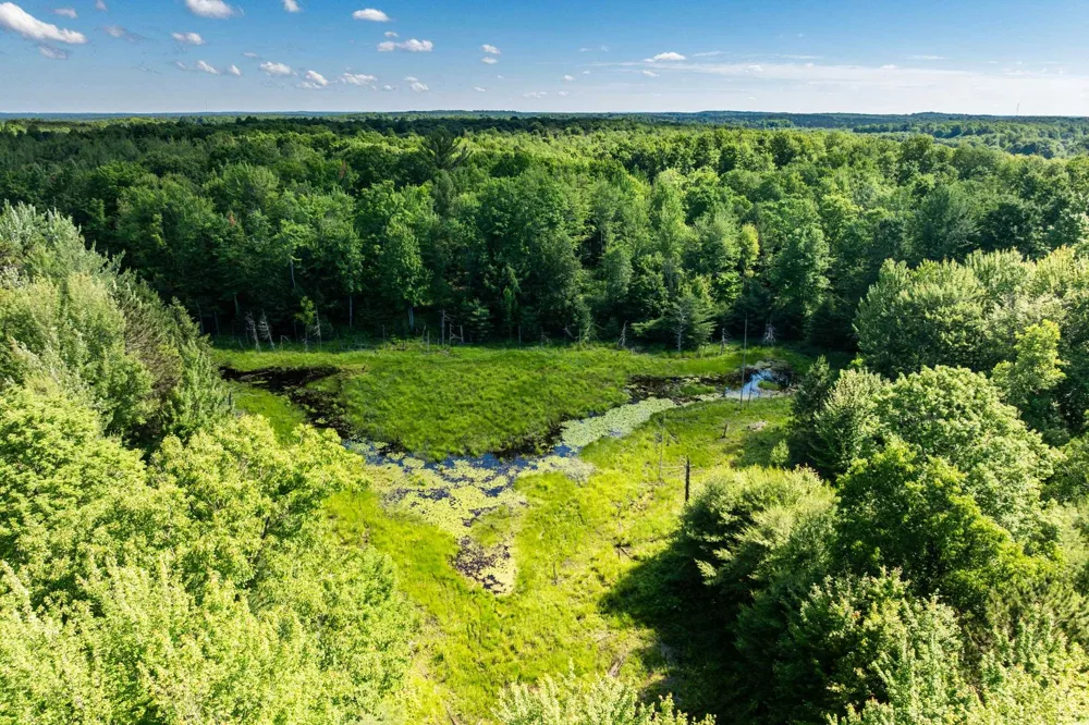 Lake Fife Lake Township, MI 49633