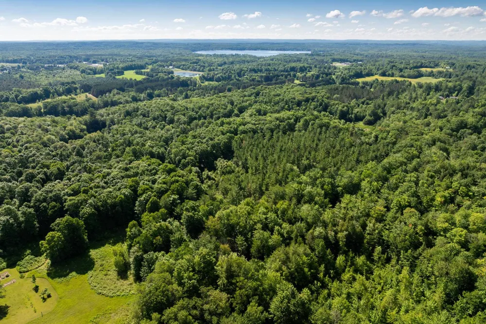 Lake Fife Lake Township, MI 49633