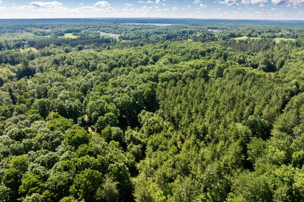 Lake Fife Lake Township, MI 49633