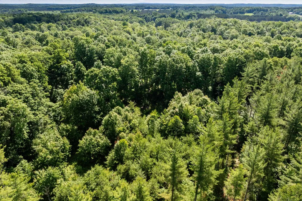 Lake Fife Lake Township, MI 49633