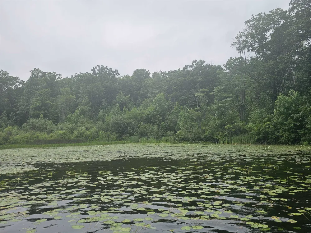 Barber Road Hill Township, MI 48739