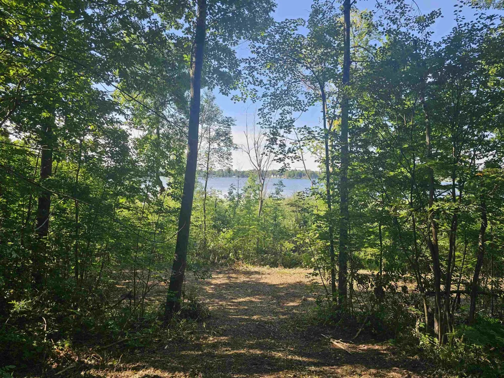 Barber Road Hill Township, MI 48739