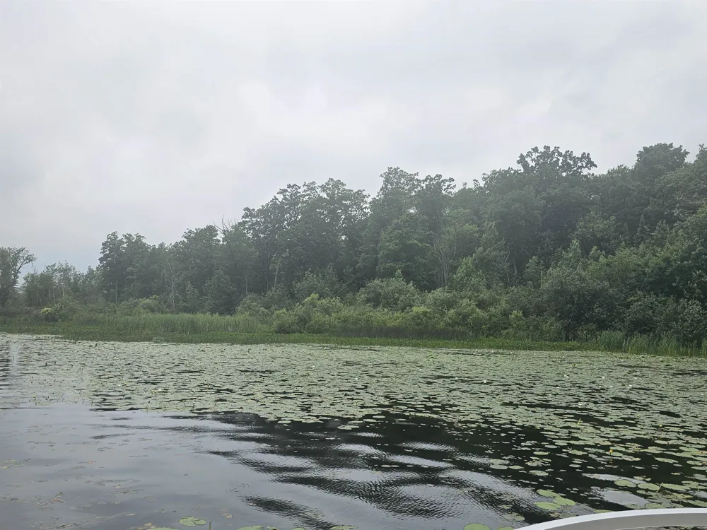 Barber Road Hill Township, MI 48739