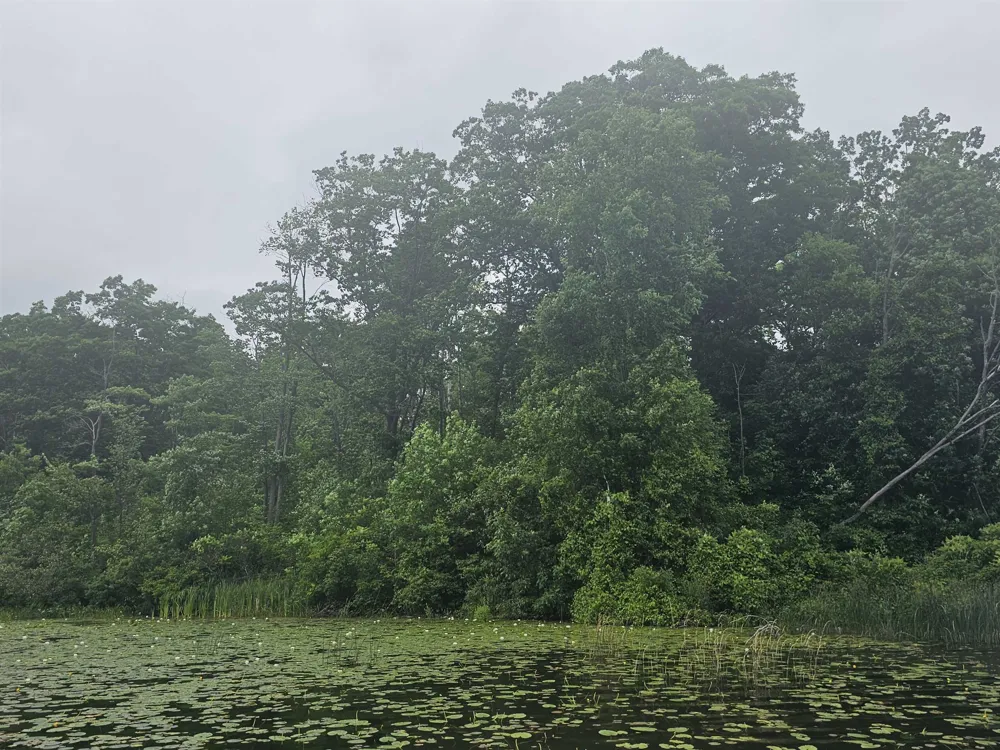 Barber Road Hill Township, MI 48739