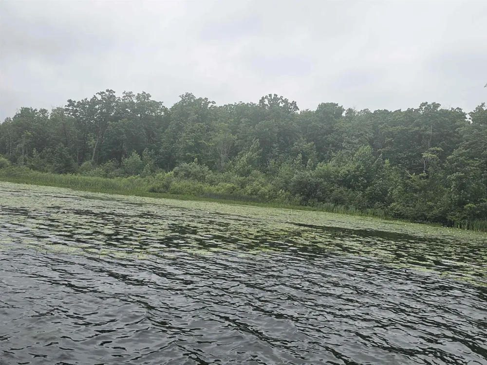 Barber Road Hill Township, MI 48739