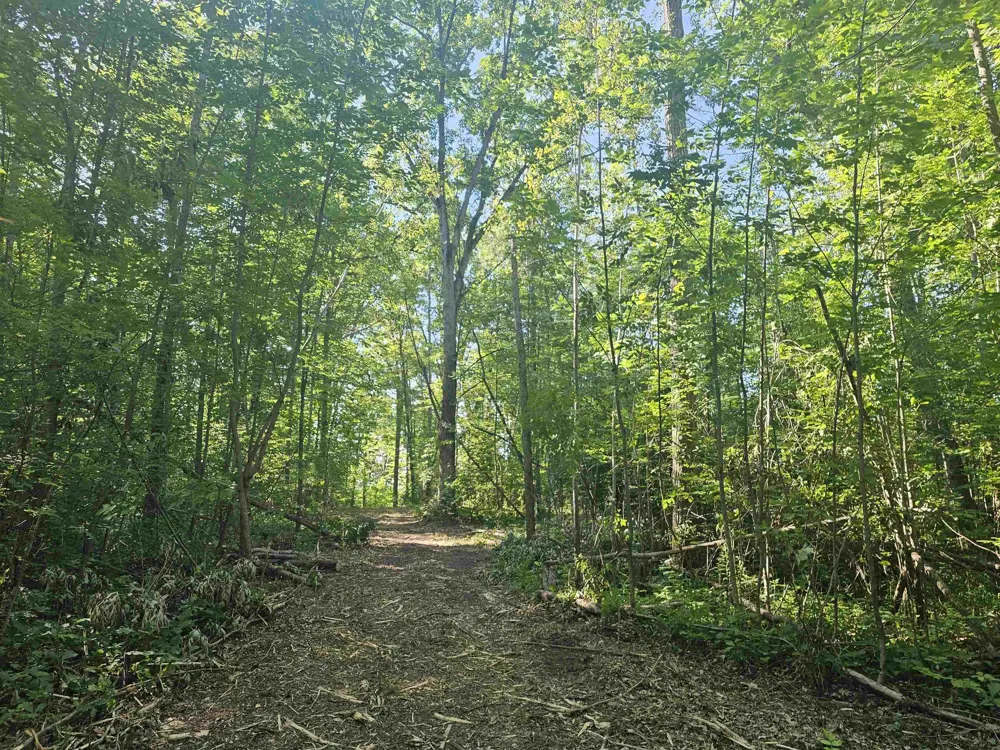 Barber Road Hill Township, MI 48739