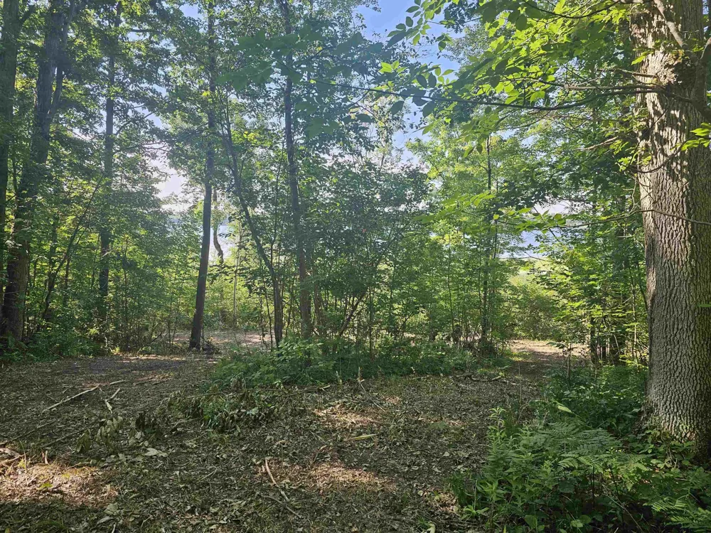 Barber Road Hill Township, MI 48739