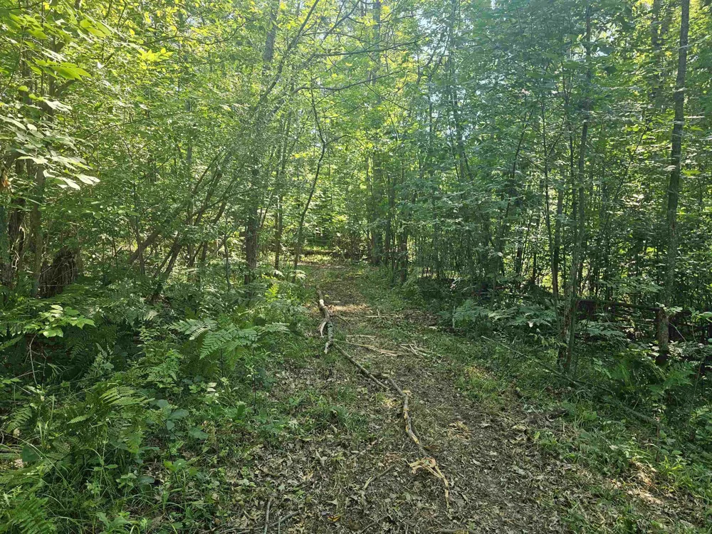 Barber Road Hill Township, MI 48739