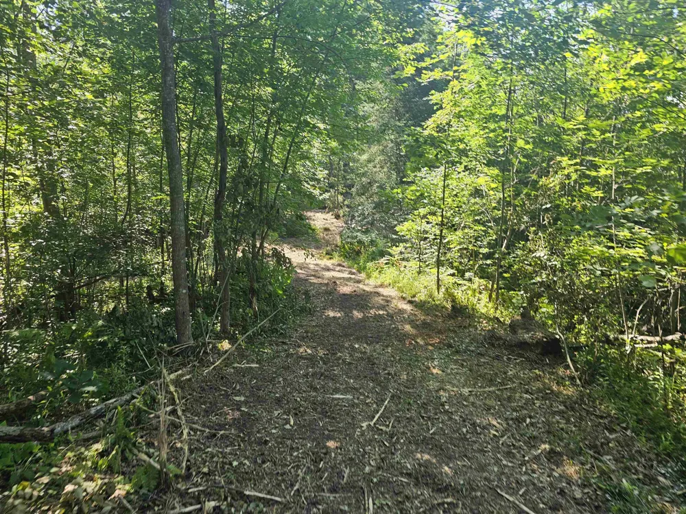 Barber Road Hill Township, MI 48739