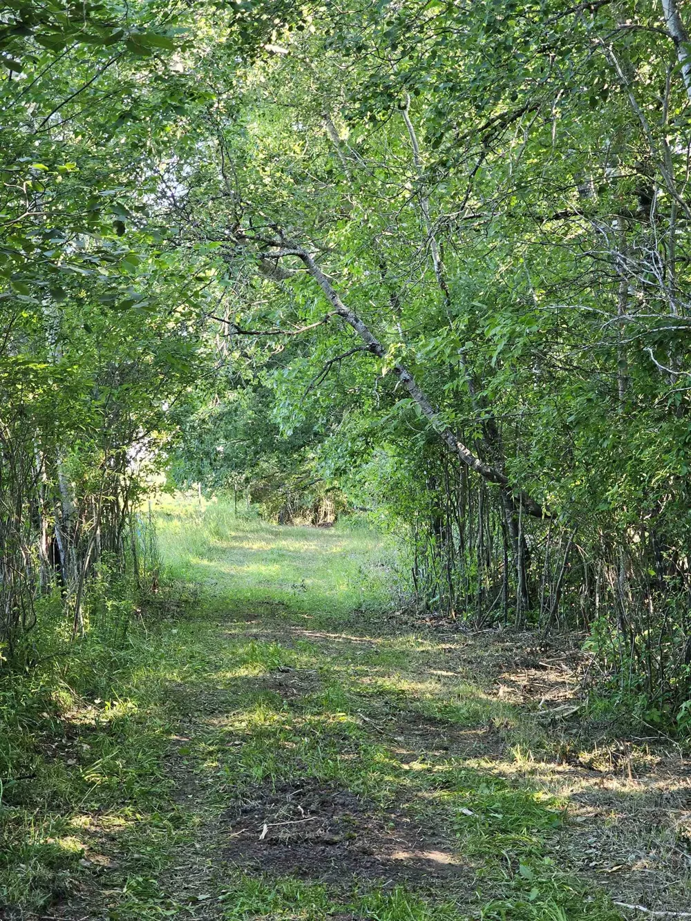 Barber Road Hill Township, MI 48739