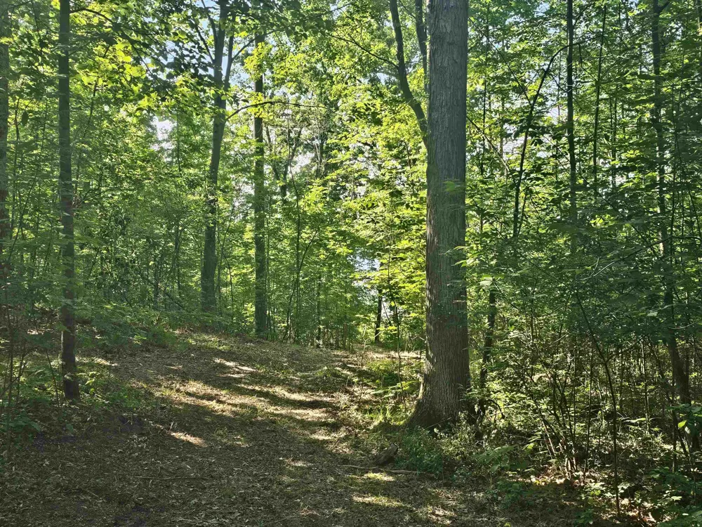 Barber Road Hill Township, MI 48739