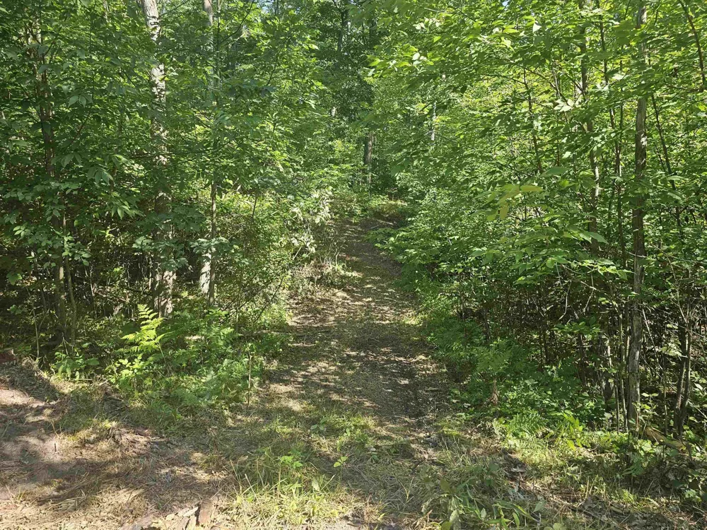 Barber Road Hill Township, MI 48739
