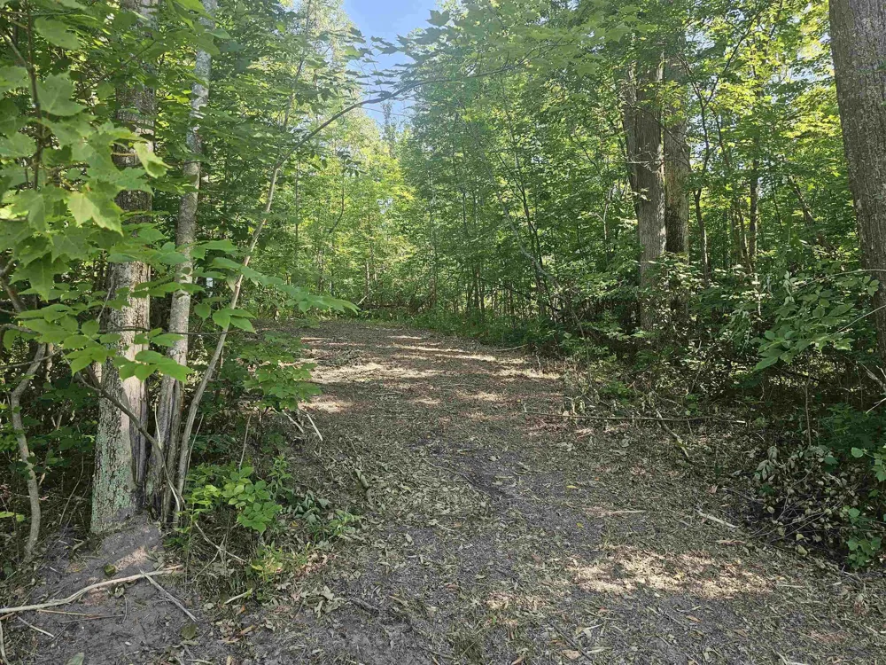 Barber Road Hill Township, MI 48739