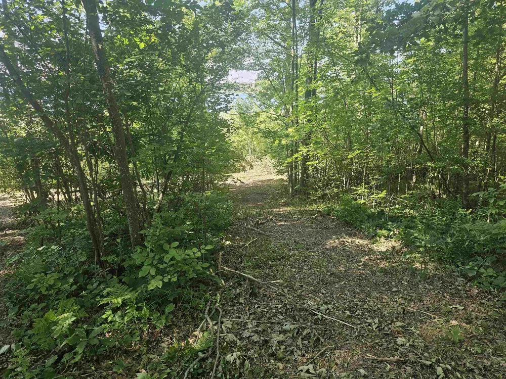 Barber Road Hill Township, MI 48739