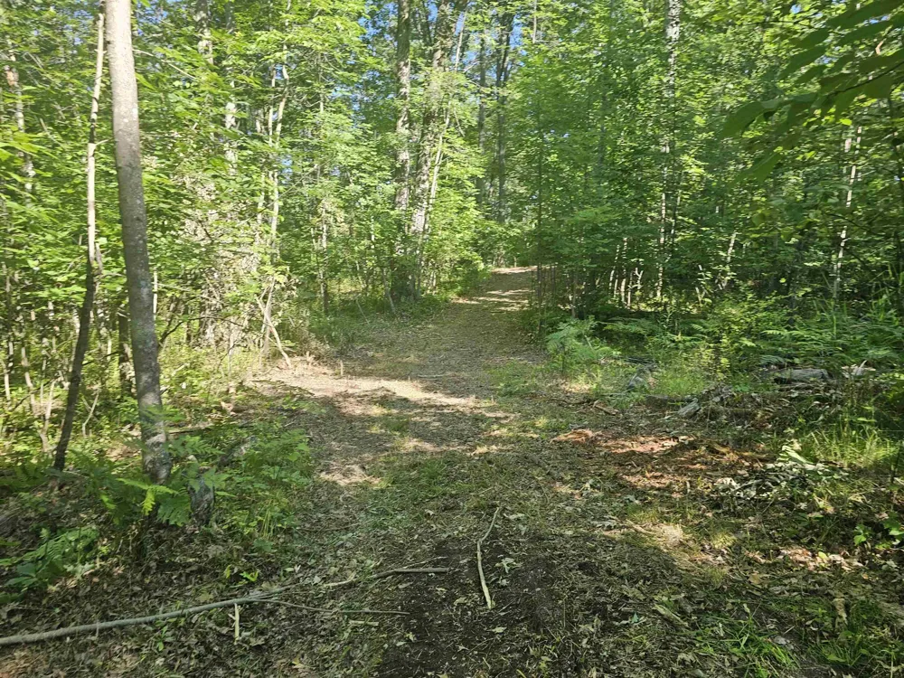 Barber Road Hill Township, MI 48739