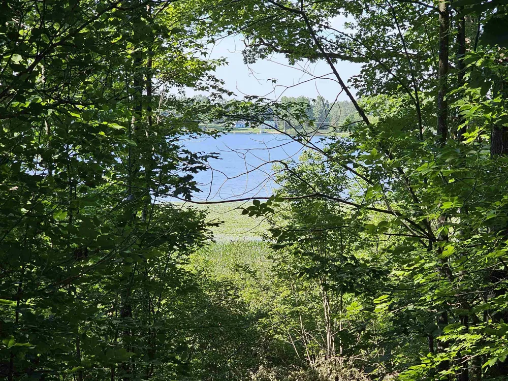 Barber Road Hill Township, MI 48739