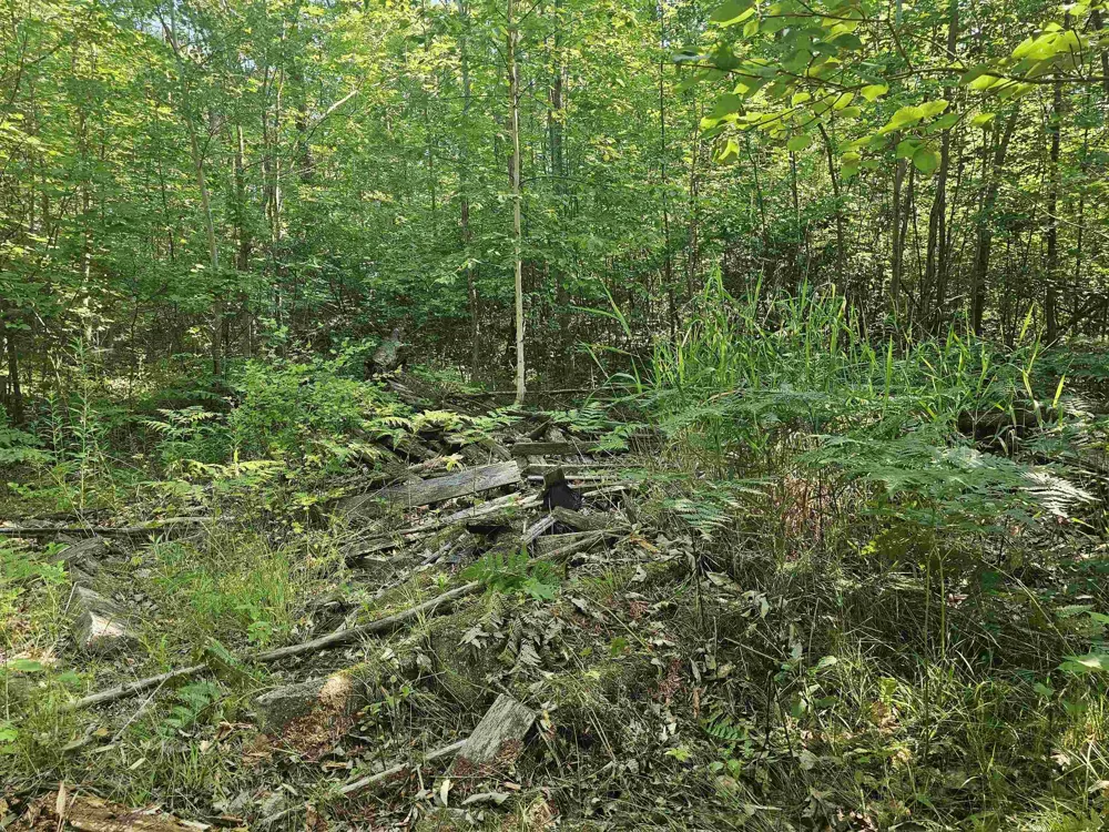 Barber Road Hill Township, MI 48739